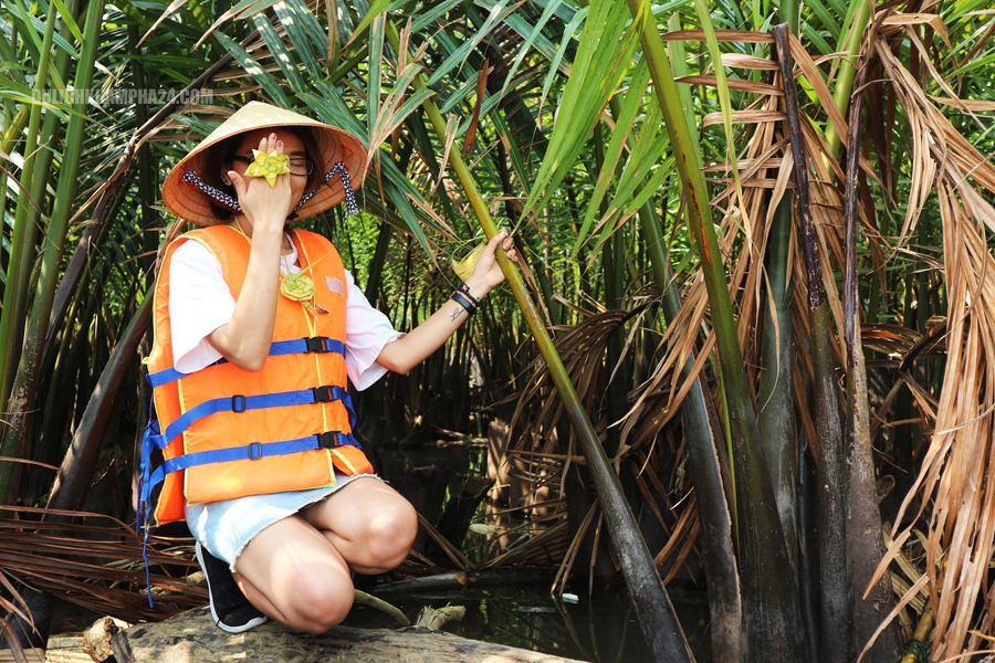 Where is Cam Thanh coconut forest, how much does it cost, how does it go? Cam Thanh coconut forest